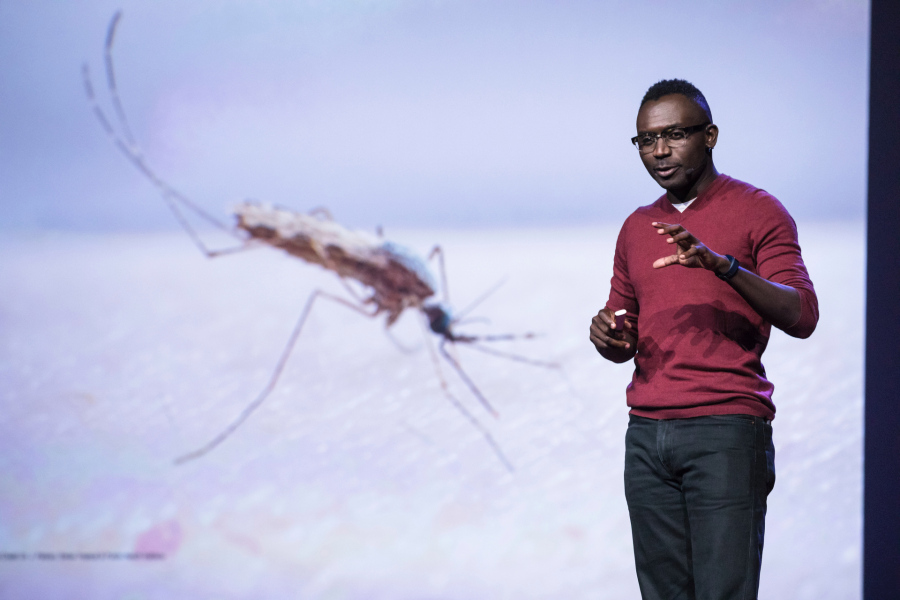 William Kamkwamba