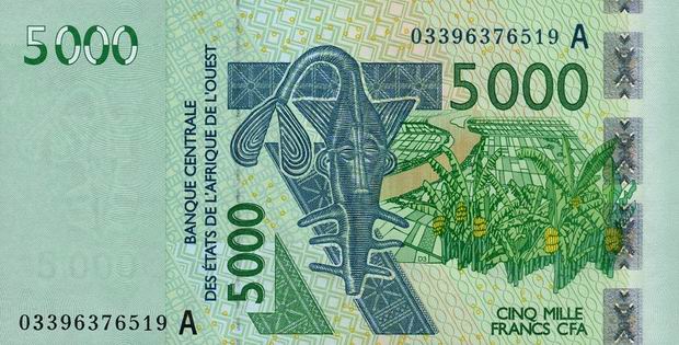 West African Protesters Demand Their Countries Abandon the French Colonial CFA Currency-West African CFA