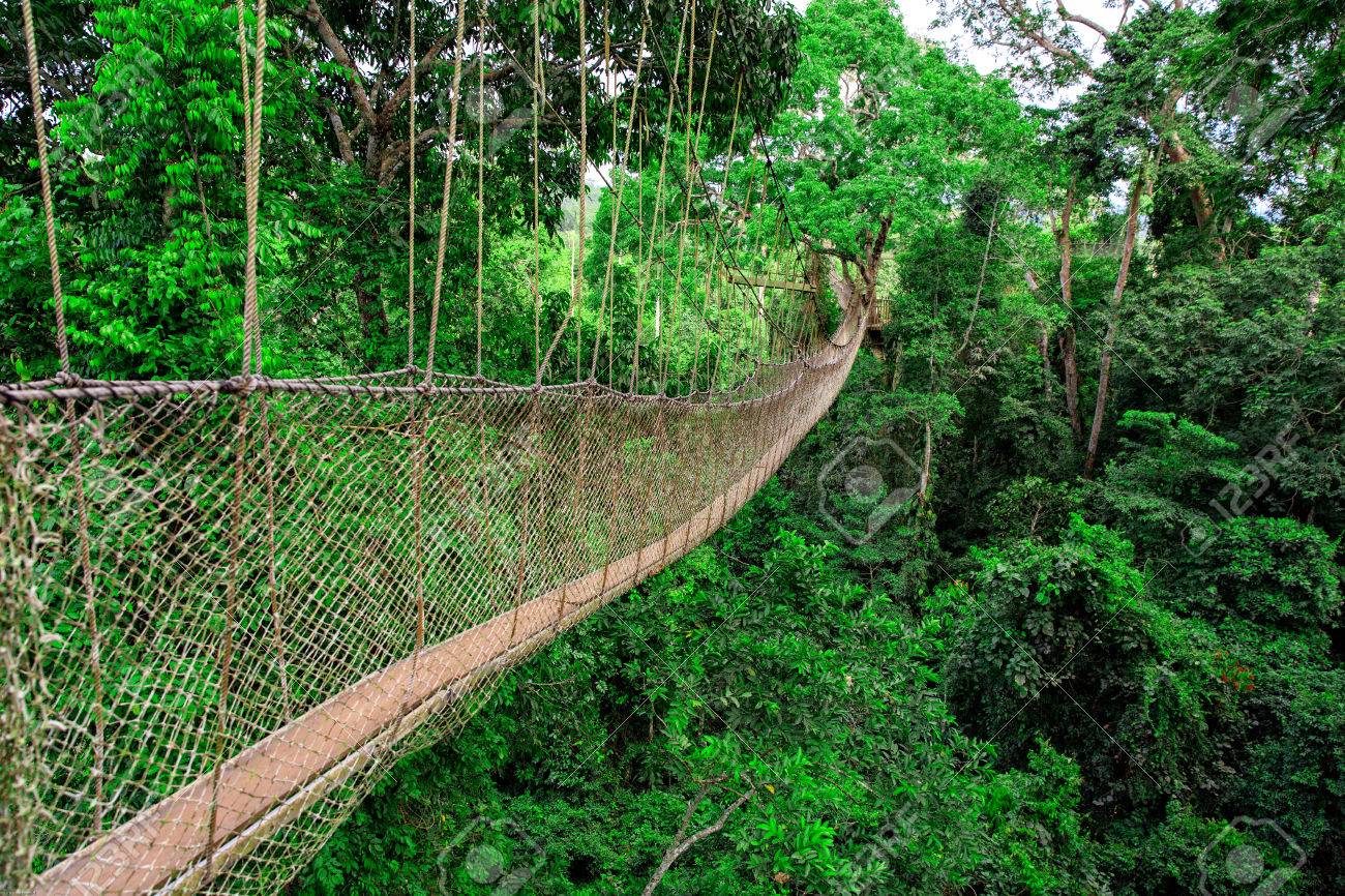 Kakum National Park