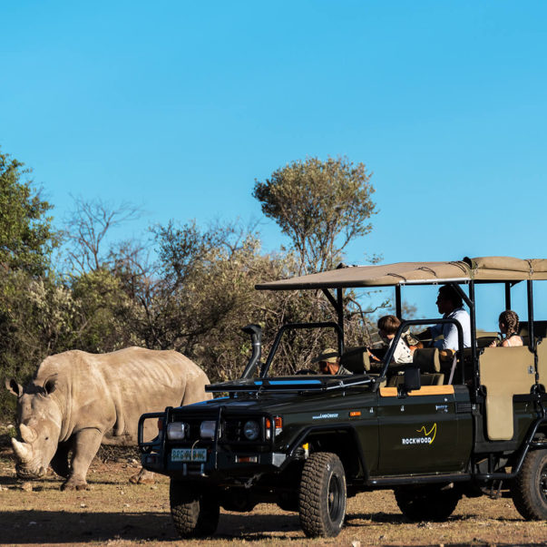 Want To Travel To Africa? Here Are 10 Travel Agencies To Try - African ...