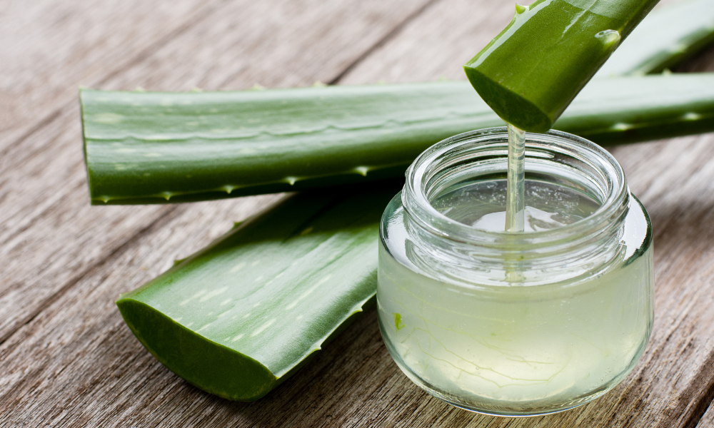7 Natural Ways To Make Your Hair Thicker 4 Aloe Vera Gel for Thicker hair