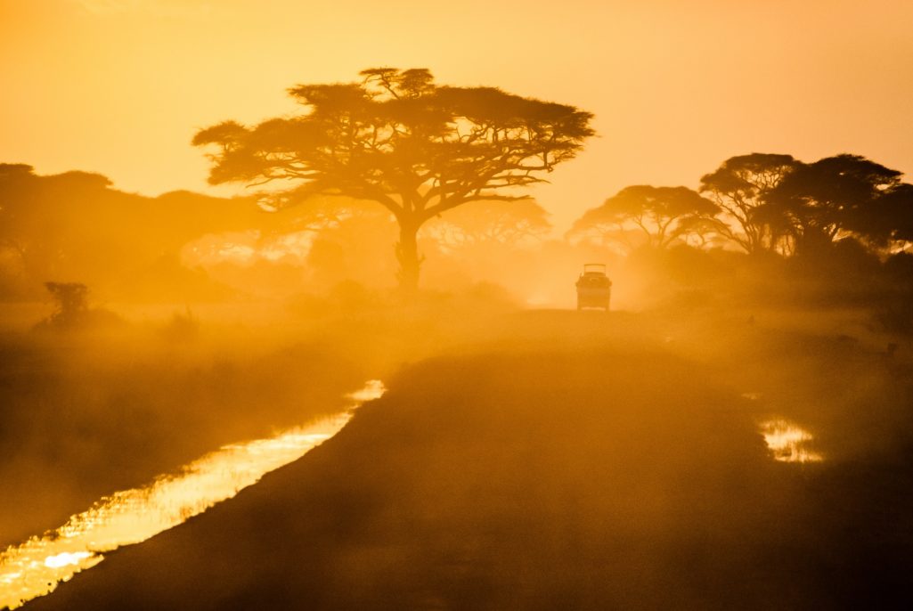 African blurry sunset at Amboseli national park, Kenya