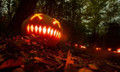 Halloween costumes light up the entire streeet during the celebration (Photo credit Xinhua News AgencyGetty Images)