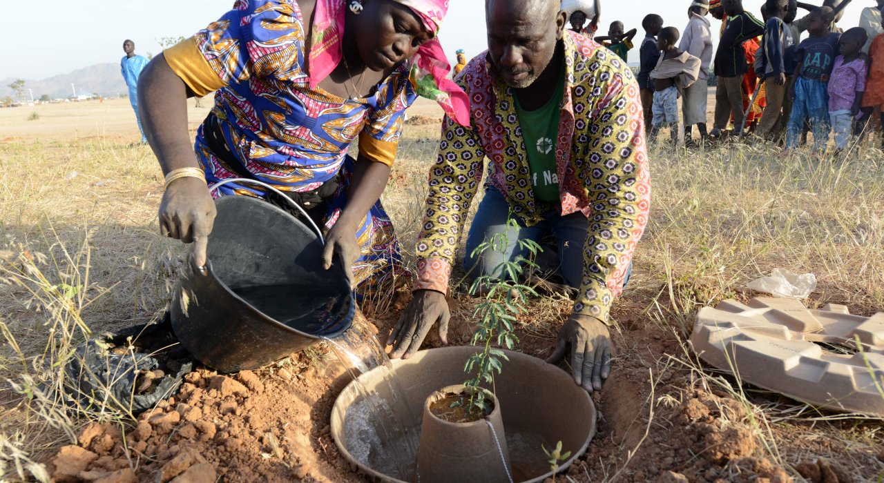 Tree planting taking place at Minawao Refugee Camp using the cocoon technology