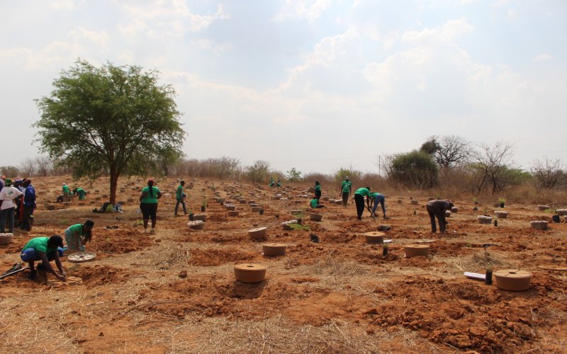 The landscape at the refugee camp before trees were planted