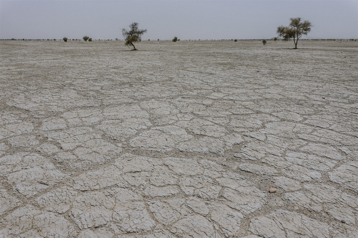 Timbuktu region, Mbouna in the horn of Africa. This locality is affected by climate change, drought, and the drying-up of Lake Faguibine, which was once a source of wealth for the residents. (Photo credit:  Mouhamadou Birom Seck/ICRC