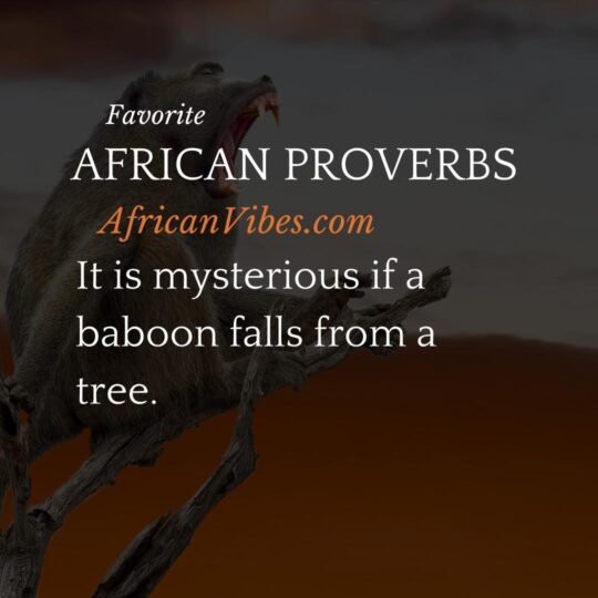 African Proverbs - African Vibes