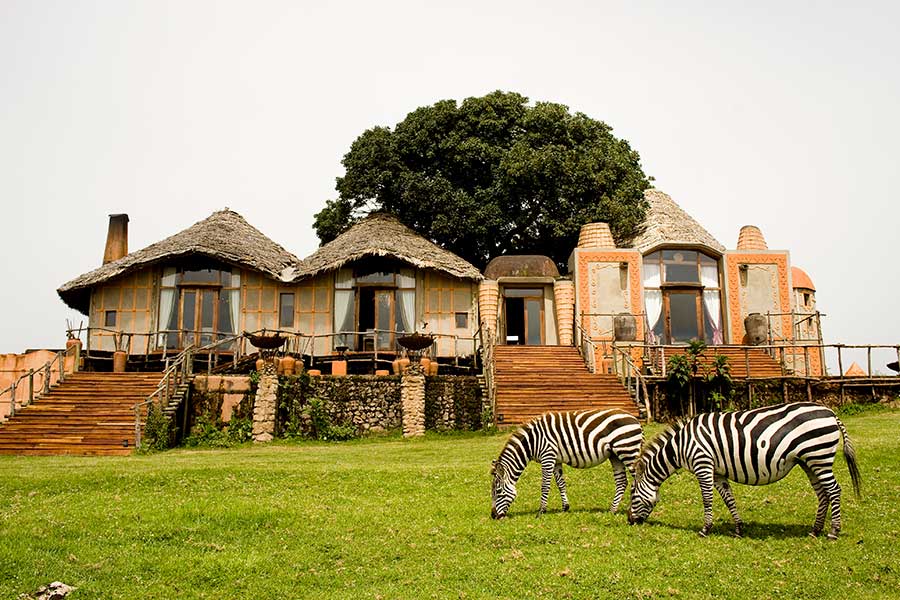 East Africa's Mara Crater & Serengeti Migration Safari