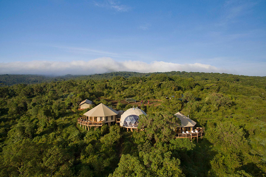 Tanzania's Highlands, Serengeti, and Eastern Shores: Romance in the Wild