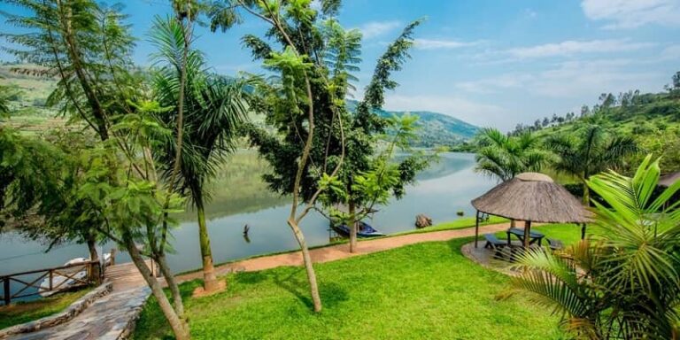 Shalom Safaris Rwanda - African Vibes
