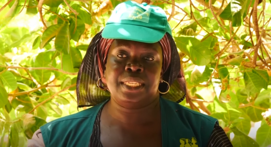 Mariama Sonko Spearheads Movement for Women's Rights and Agricultural Sustainability in Senegal Amid Climate Challenges