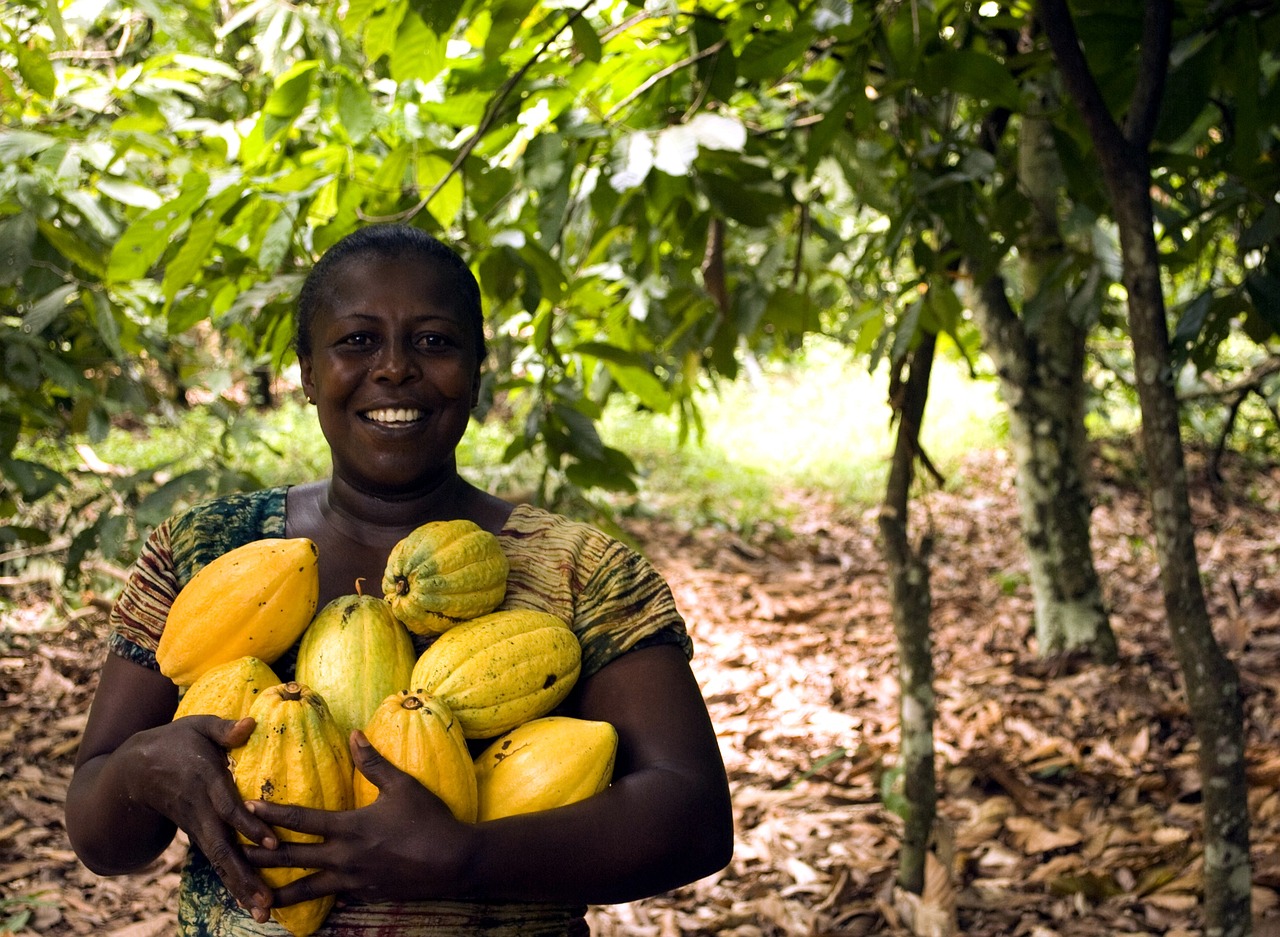 Ivory Coast's Revolutionary 50% Cocoa Price Hike: A New Dawn for Farmers and the Global Market