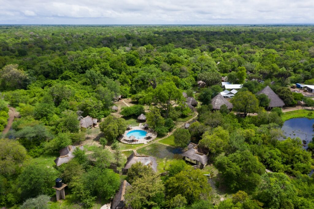 Nyerere National Park 