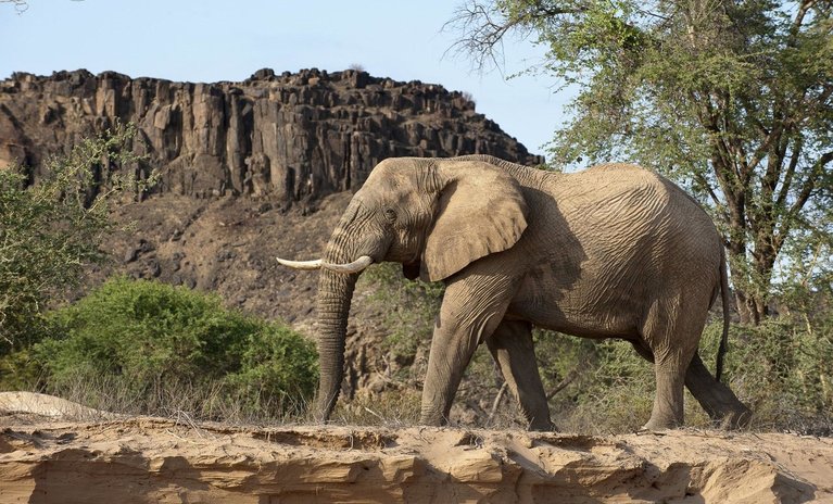 Damaraland