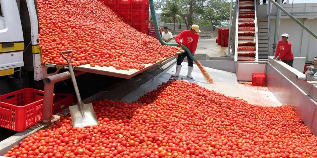 Burkina Faso Tomato processing plant