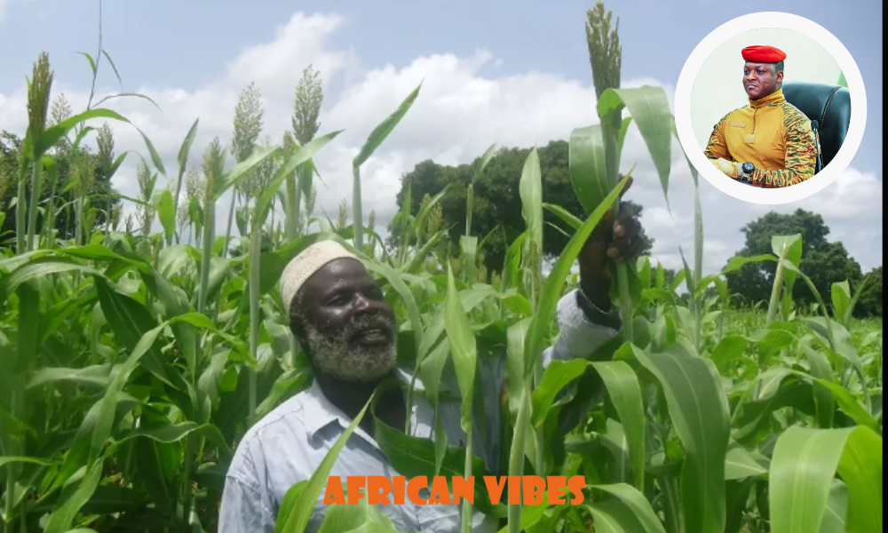Burkina Faso's Bold Agricultural Strategy