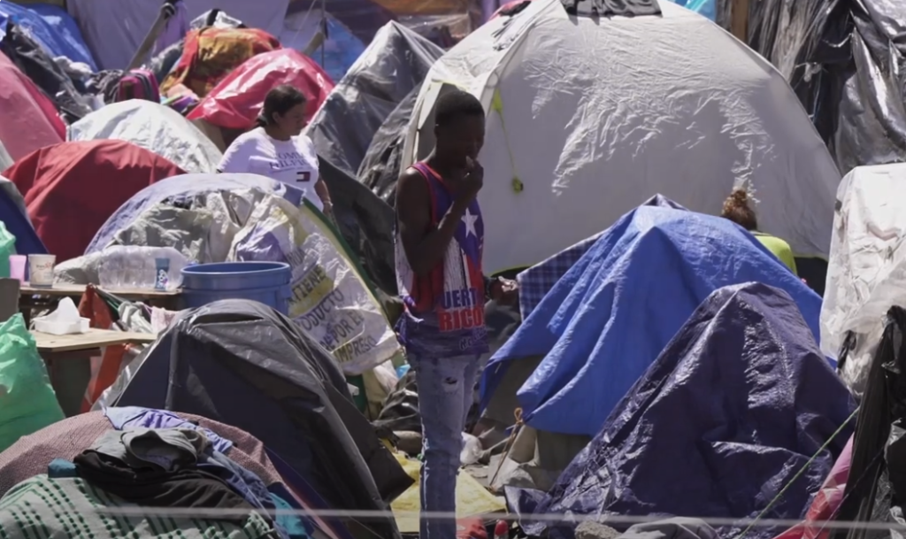 African Immigrants