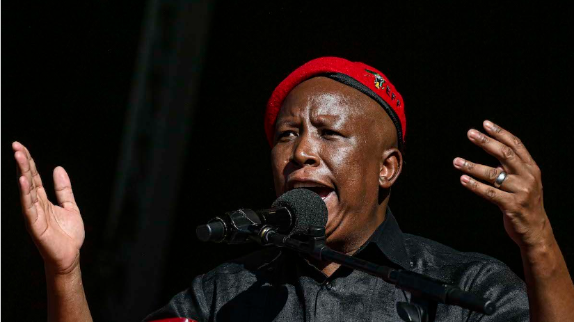 Julius Malema Sparks Global Fury ‘Kill the Boer’ Chant Controversy 1 Kill the Boer, Kill the Farmer