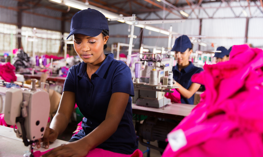 Taoré Ibrahim Champions Burkina Faso’s 2nd Sustainable Cotton Plant 3 Burkina Faso Bets on Cotton