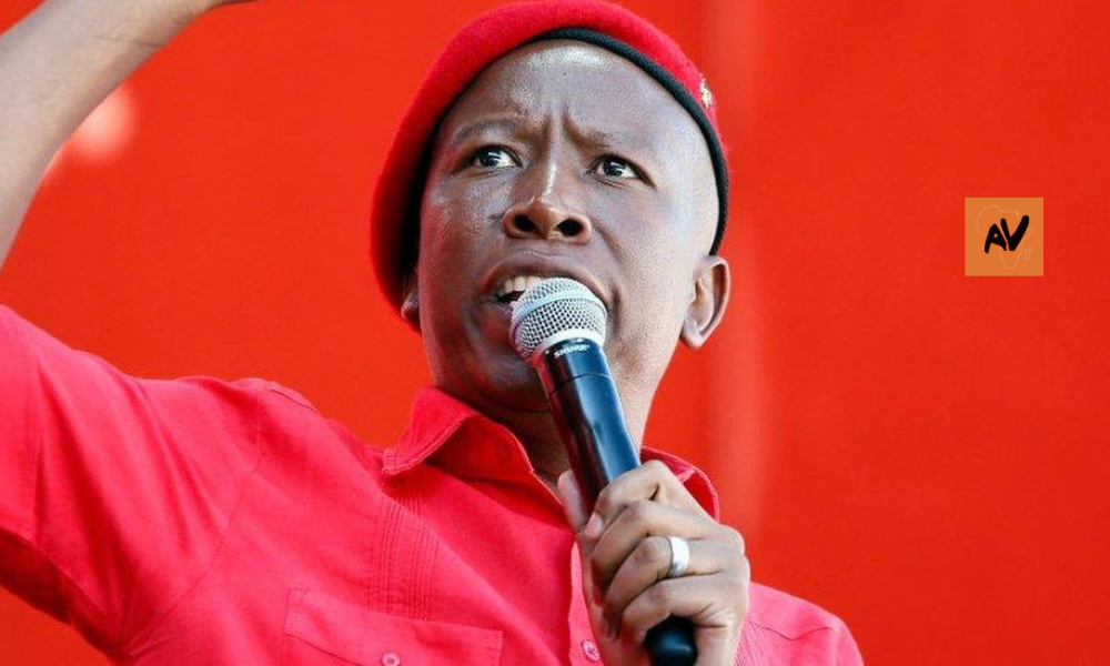 Julius Malema banned from entering the UK