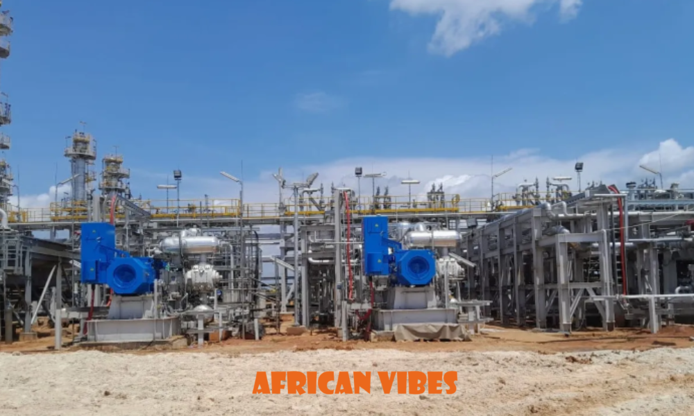 Nigerian energy sector