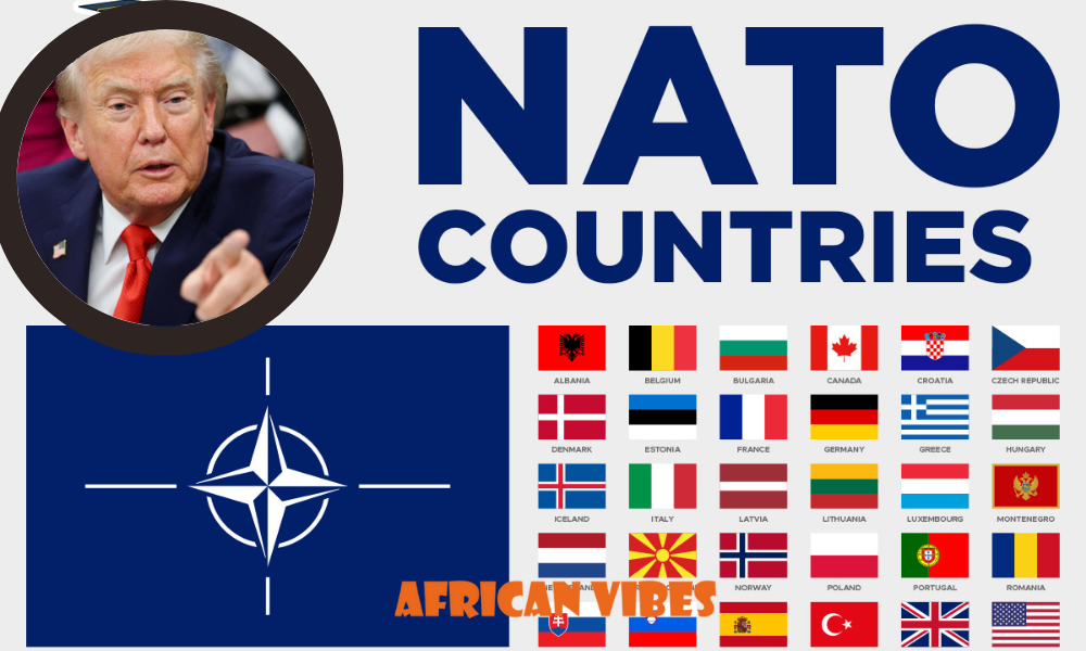 Trump's NATO Warning and the Global Shift Africa Cannot Ignore