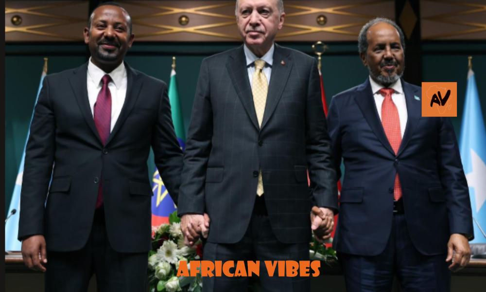 Tayyip Erdogan Expands Turkey’s Footprint in Africa