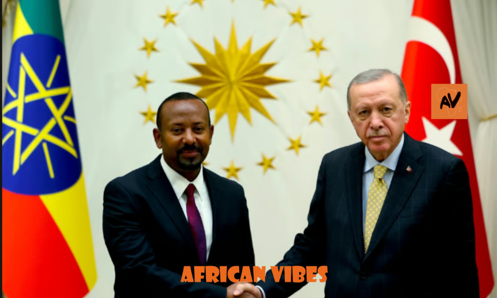 Tayyip Erdogan Expands Turkey’s Footprint in Africa