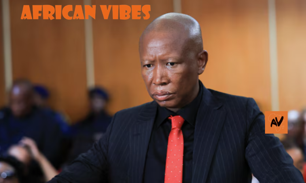 What Julius Malema’s 5-Year Sentence Really Means for the People