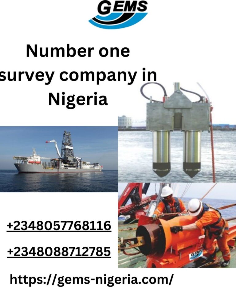 Number one survey company in Nigeria 768x960