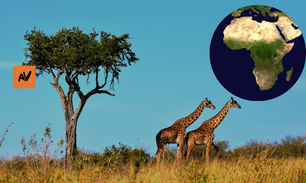 Africa