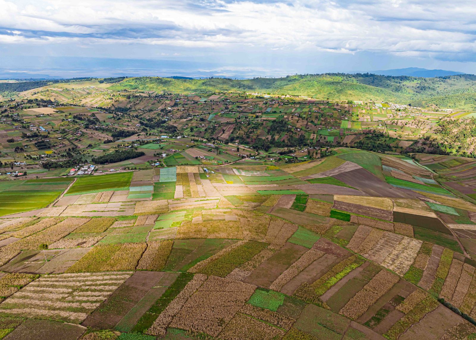 Zimbabwe to Return 67 Seized Farms as Land Reform Fallout Persists